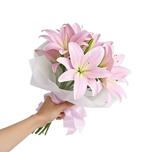 Blushing Rose Symphony