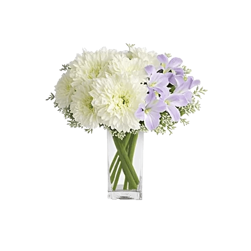 Delicate Petal Cascade