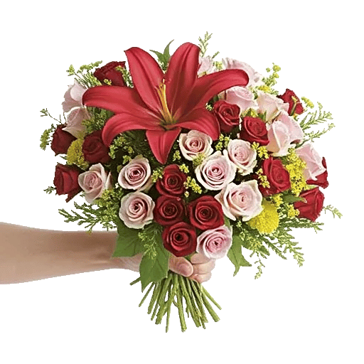 Scarlet Petal Grace