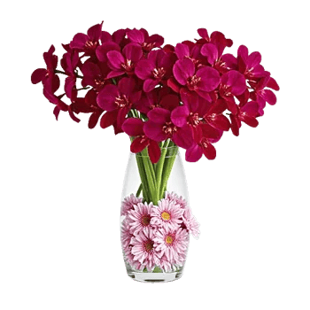 Orchid Bloom Cascade