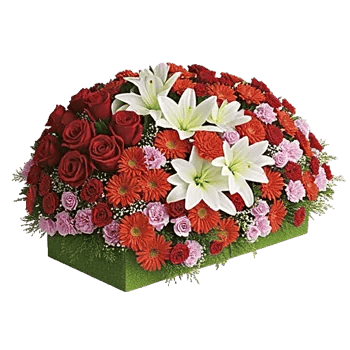 Ruby Petal Cascade