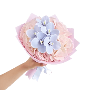 Orchid Petal Glow