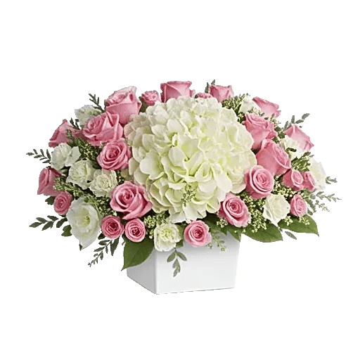 Serene Petal Harmony