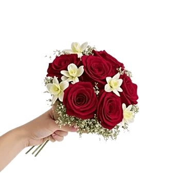 Crimson Rose Elegance