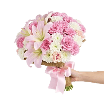 Blushing Rose Symphony