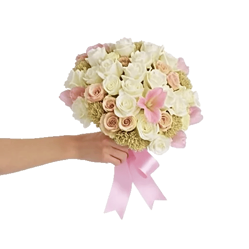 Blushing Rose Symphony