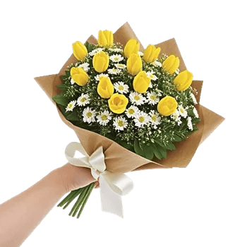 Blossom Harmony Display