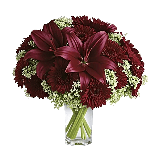 Crimson Lily Glow
