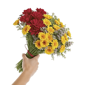Petal Harmony Bliss