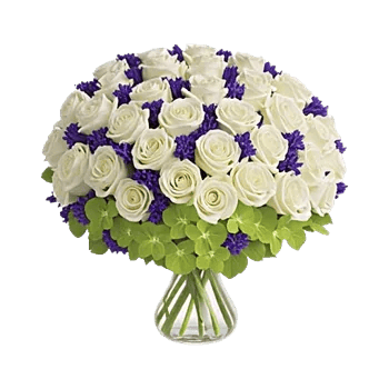 Orchid Bloom Cascade