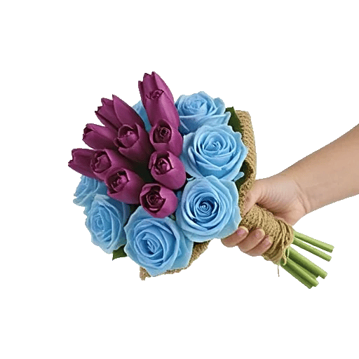 Plum Blossom Radiance