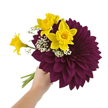 Crimson Blossom Harmony