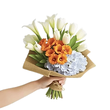 Elegant Calla Lilies