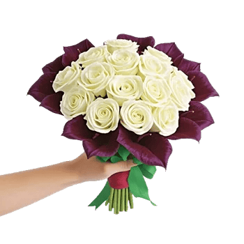 Elegant Calla Lilies