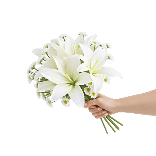 Blossom Harmony Display