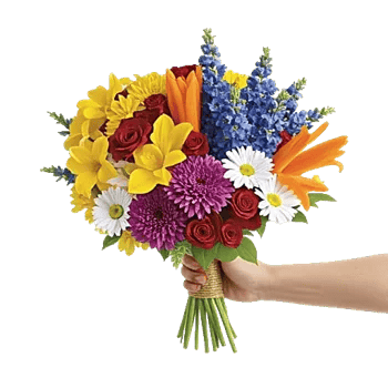 Petal Harmony Bliss