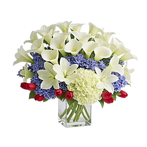 Elegant Calla Lilies