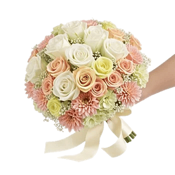 Blushing Rose Symphony