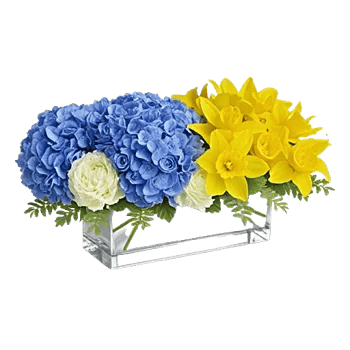 Sapphire Bloom Whisper