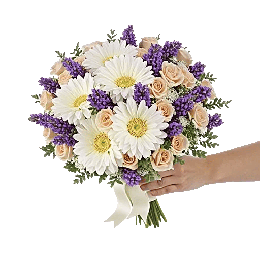 Ivory Blossom Radiance