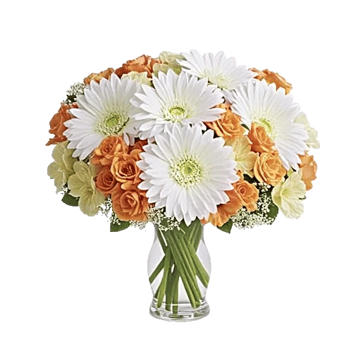 Ivory Blossom Radiance