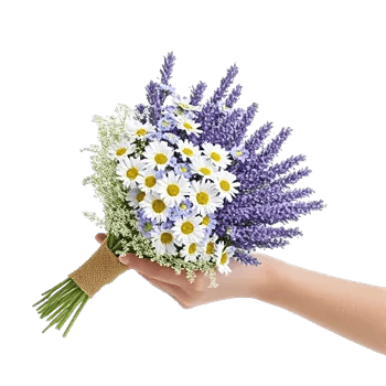 Fresh Meadow Blooms