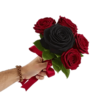 Crimson Rose Elegance