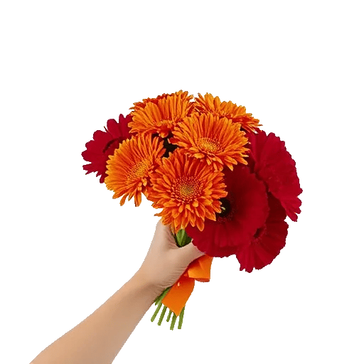 Vibrant Orange Delight