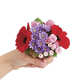 Coral Blossom Harmony