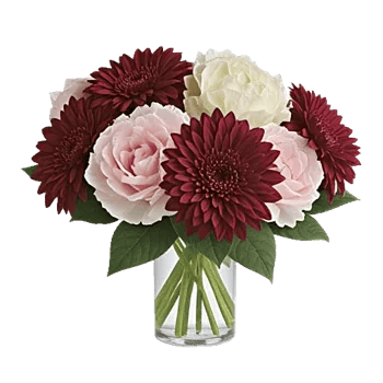 Petal Radiance Bliss