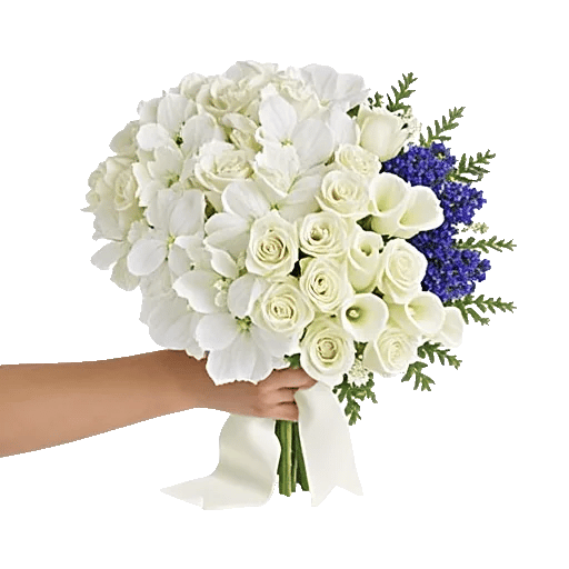 Ivory Garden Grace