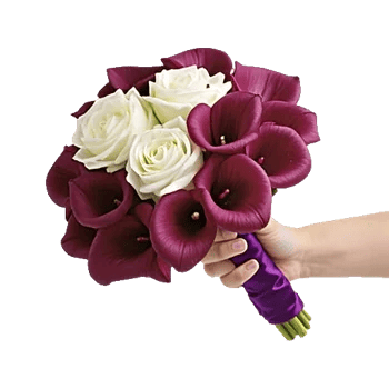 Elegant Calla Lilies