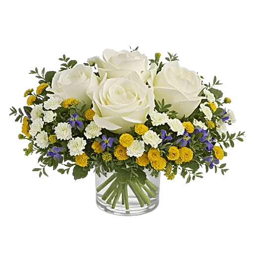 Minimalist White Orchids