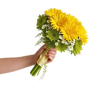 Delicate Petal Cascade