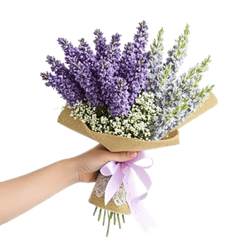 Lavender Bloom Grace