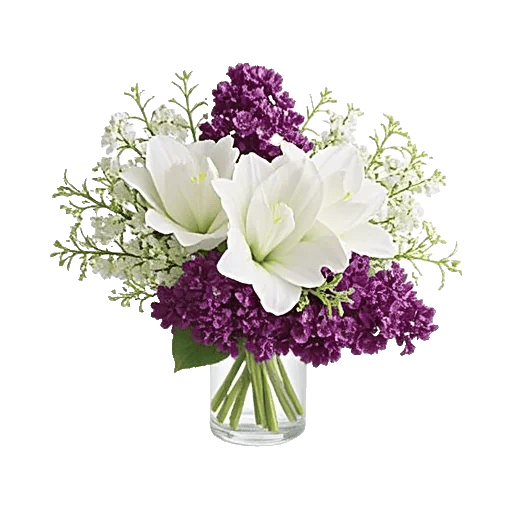 Ivory Blossom Radiance
