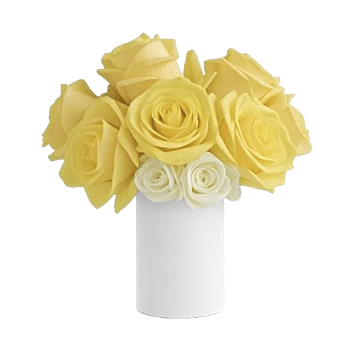 Radiant Rose Symphony