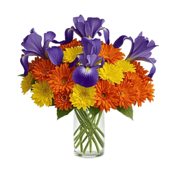 Crimson Blossom Harmony