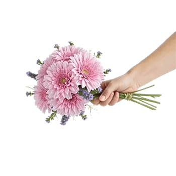 Crimson Blossom Harmony