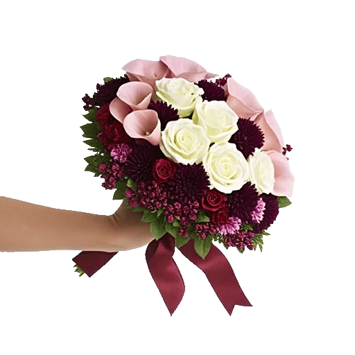 Elegant Calla Lilies