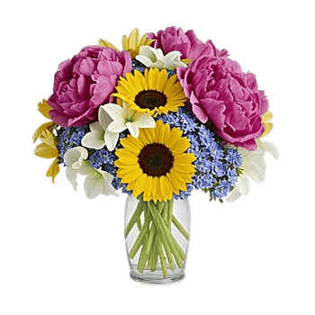 Petal Radiance Bliss