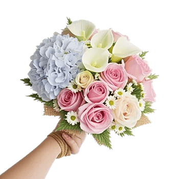 Serene Petal Harmony