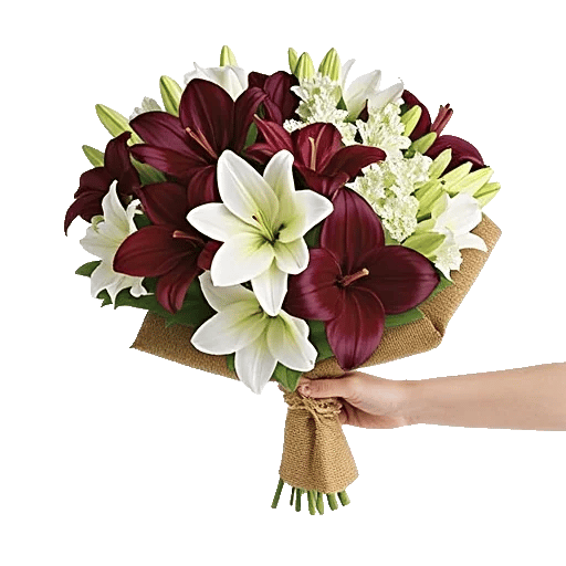 Elegant Calla Lilies