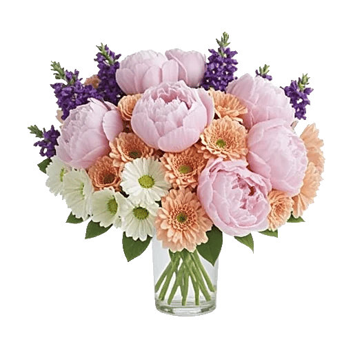 Petal Radiance Bliss