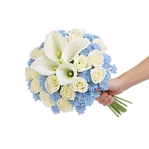 Elegant Calla Lilies