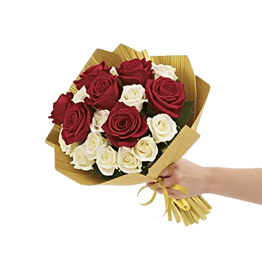 Crimson Rose Elegance