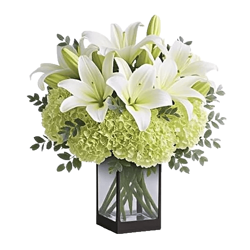Ivory Blossom Radiance