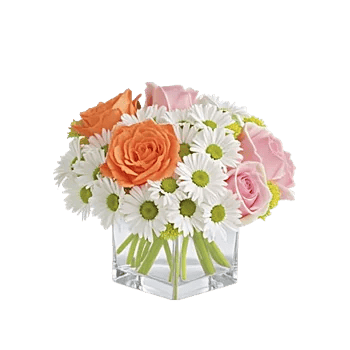 Petal Harmony Bliss