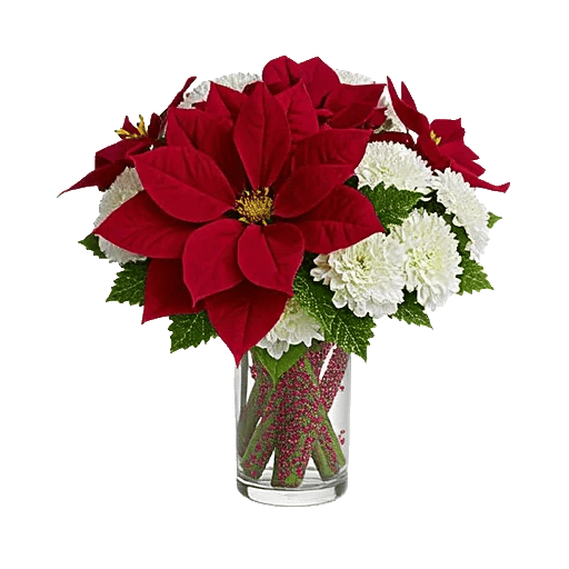 Petal Radiance Bliss