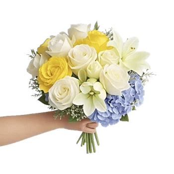 Petal Grace Harmony